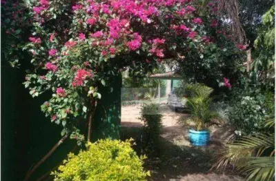 Chácara à venda – ampla, bem localizada e com pomar produtivo!