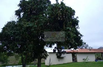 Chácara com 1 dormitório à venda, 8500 m² por r$ 473.000,00 - chácara belo horizonte - taubaté/sp