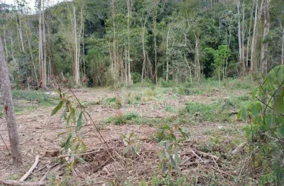 Chácara à venda, 29100 m² por r$ 308.000,00 - laranjeiras - paraibuna/sp