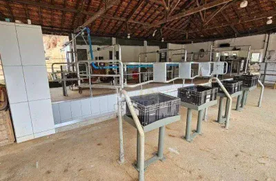 Sítio à venda, 532400 m² por r$ 3.180.000,00 - recanto das águas - igaratá/sp