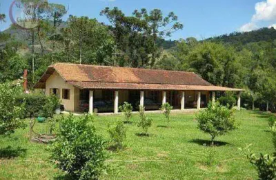 Chácara com 4 dormitórios à venda, 4000 m² por r$ 550.000,00 - nogueiras - sapucaí-mirim/mg