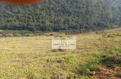 Área à venda, 24200 m² por r$ 520.000,00 - roncador - são francisco xavier/sp