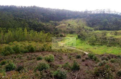 Área à venda, 150524 m² por r$ 880.000,00 - cedro - paraibuna/sp