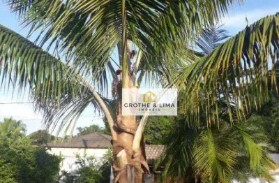 Chácara com 3 dormitórios à venda, 891 m² por r$ 479.000,00 - piedade - caçapava/sp