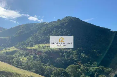 Terreno à venda, 96800 m² por r$ 1.590.000,00 - centro - são francisco xavier/sp