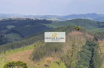 Chácara  à venda, 20000 m² por r$ 299.000 - das laranjeiras - paraibuna/sp