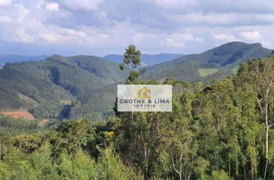 Chácara  à venda, 20000 m² por r$ 299.000 - das laranjeiras - paraibuna/sp