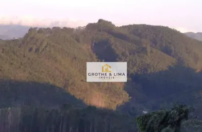 Chácara à venda, 20000 m² por r$ 299.000 - paraibuna - paraibuna/sp