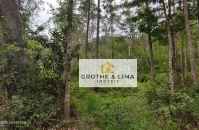 Gleba rural terreno para chácara à venda, 20200 m² por r$ 399.000 - paraibuna - paraibuna/sp