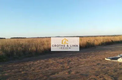 Fazenda com 2 salas à venda na Zona Rural, Araguacema 