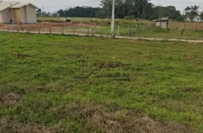 Terreno à venda no Guarda do Cubatão, Palhoça 