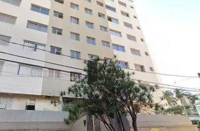 Apartamento para venda em cambuí de 45.00m² com 1 quarto e 1 suite