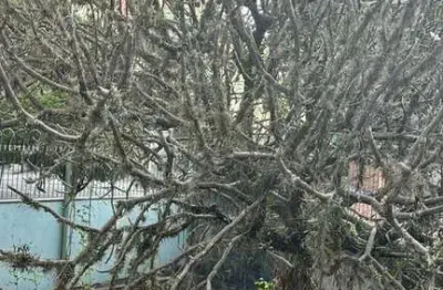 Apartamento com 3 quartos à venda, alto de pinheiros - são paulo