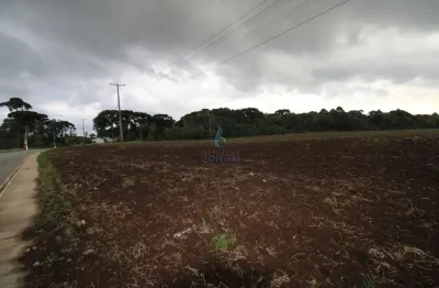 Terreno à venda na avenida são joão, são joão, contenda, 399440 m2 por r$ 28.000.000