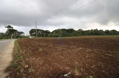 Terreno à venda na avenida são joão, são joão, contenda, 399440 m2 por r$ 28.000.000