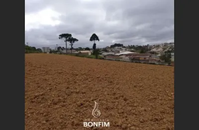 Terreno comercial à venda na avenida eleutério de souza padilha, 834, são joão, contenda, 128000 m2 por r$ 19.200.000