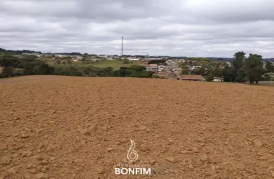 Terreno comercial à venda na avenida eleutério de souza padilha, 834, são joão, contenda, 128000 m2 por r$ 19.200.000
