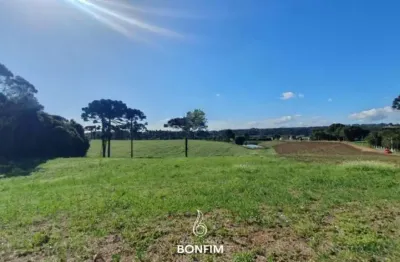 Terreno à venda na rua júlio césar setenareski, colônia murici, são josé dos pinhais, 114345 m2 por r$ 11.435.000