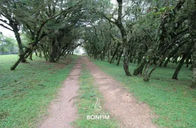Chácara / sítio à venda na rua manoel plantes correia, cachoeira, são josé dos pinhais por r$ 1.600.000