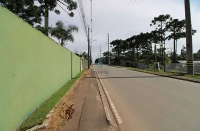 Terreno comercial para alugar na rua das manduiranas, 1423, eucaliptos, fazenda rio grande, 1100 m2 por r$ 5.000