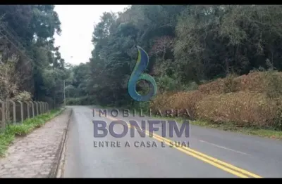 Terreno à venda na rua mato grosso, ferraria, campo largo, 66000 m2 por r$ 3.900.000