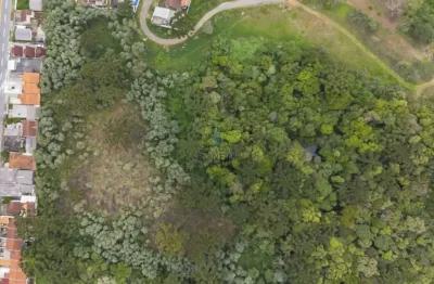 Terreno à venda na rua japão, conjunto habitacional monsenhor francisco gorski, campo largo, 51933 m2 por r$ 3.000.000