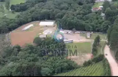 Chácara / sítio com 3 quartos à venda na prof. julio carvalho gomes, roça velha, são josé dos pinhais, 58440 m2