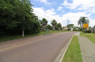 Terreno comercial para alugar na rua antônio escorsin, são braz, curitiba, 5573 m2 por r$ 38.000