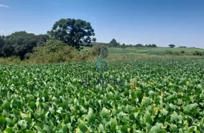 Terreno comercial à venda na Área Rural, Passo Amarelo, Fazenda Rio Grande, 93600000 m2