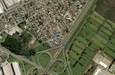 Terreno comercial à venda na Rua Itajaí, Borda do Campo, São José dos Pinhais, 6810 m2 por R$ 2.100.000