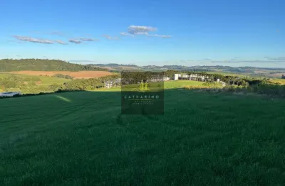 Terreno comercial à venda na Figueira, Chapecó 