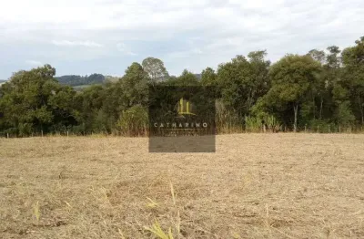 Fazenda à venda na Rua Lourenço Lorini, 001, Centro, Palmitos