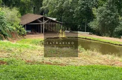 Chácara / sítio com 1 quarto à venda na Área Rural, 01, Área Rural de Chapecó, Chapecó