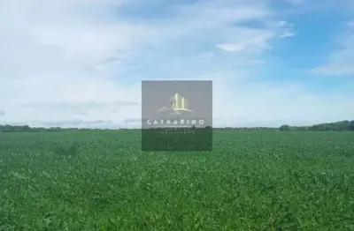 Fazenda à venda na Interior, S/N, Centro, Nobres