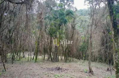 Terreno à venda, 6993 m² por r$ 300.000,00 - recreio da serra - piraquara/pr