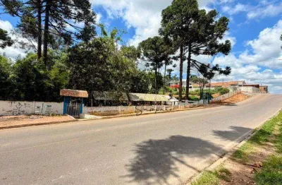 Terreno à venda, 2.170 m² por R$ 1.500.000 -  Rua Curitiba, 10 Estados - Fazenda Rio Grande/PR