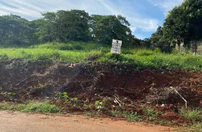 Terreno à venda na Rua Sírio de Castro Ribas, Alto das Oliveiras, Telêmaco Borba