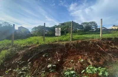 Terreno à venda na Rua Sírio de Castro Ribas, Alto das Oliveiras, Telêmaco Borba