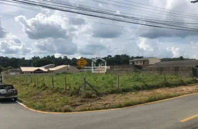 Terreno comercial para alugar na Rua Iguaçu, 1437, Centro, Araucária
