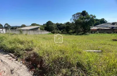 Terreno a venda no bairro campina da barra, campina da barra, araucaria - pr