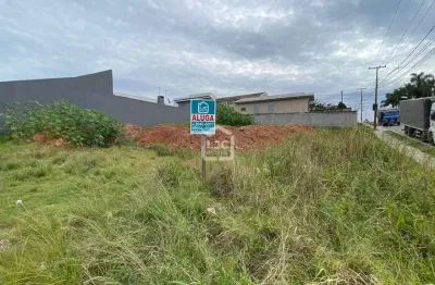 Terreno frente a risotolandia, thomaz coelho, araucaria - pr
