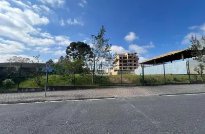 Terreno comercial para alugar na Rua Bahia, 382, Iguaçu, Araucária