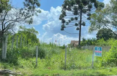 Terreno comercial para alugar na Rua Francisco Xavier da Silva, 415, Centro, Araucária