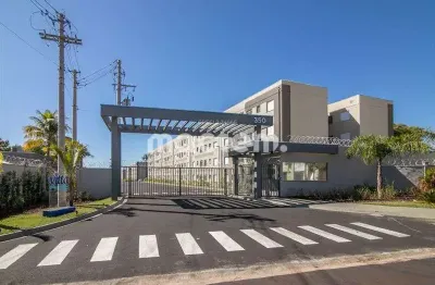 Apartamento com 2 quartos à venda no Valentina Figueiredo, Ribeirão Preto 