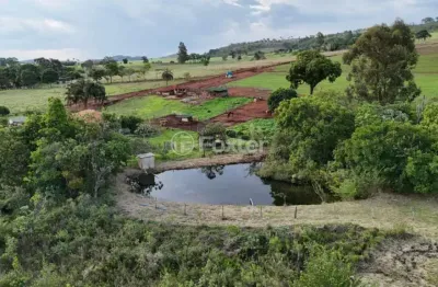 Apartamento à venda na undefined rua futine sessim cippiciani, 1, três marias, cajuru por r$ 1.740.000