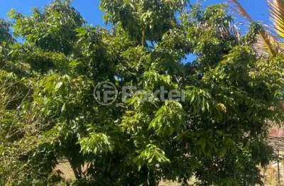 Fazenda com 2 salas à venda na estrada do matão, s/n, iara, atibaia, 190000 m2 por r$ 1.600.000