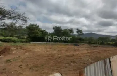 Terreno à venda na rua cinamomos, 1331, vila nova mazzei, são paulo, 3 m2 por r$ 1.600.000