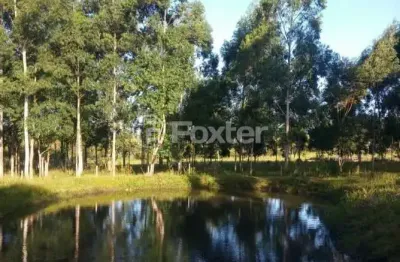 Terreno à venda na estrada do quilombo, 1641, feitoria, são leopoldo, 60000 m2 por r$ 2.660.000