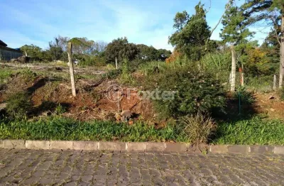 Terreno comercial à venda na avenida cônego peres, lote 01, são cristovão, nova prata, 800 m2 por r$ 420.000