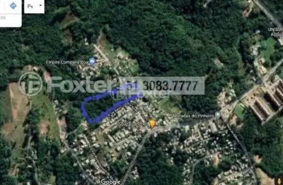 Terreno à venda na rua dona francisca, 138, lomba do pinheiro, porto alegre, 7675 m2 por r$ 1.100.000